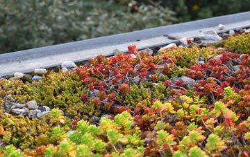 the cost of Rhyd Y Gwin green roof installation