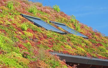 Rhyd Y Gwin living roof systems