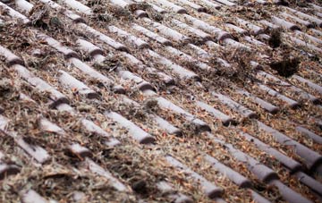 Rhyd Y Gwin roof cleaning companies